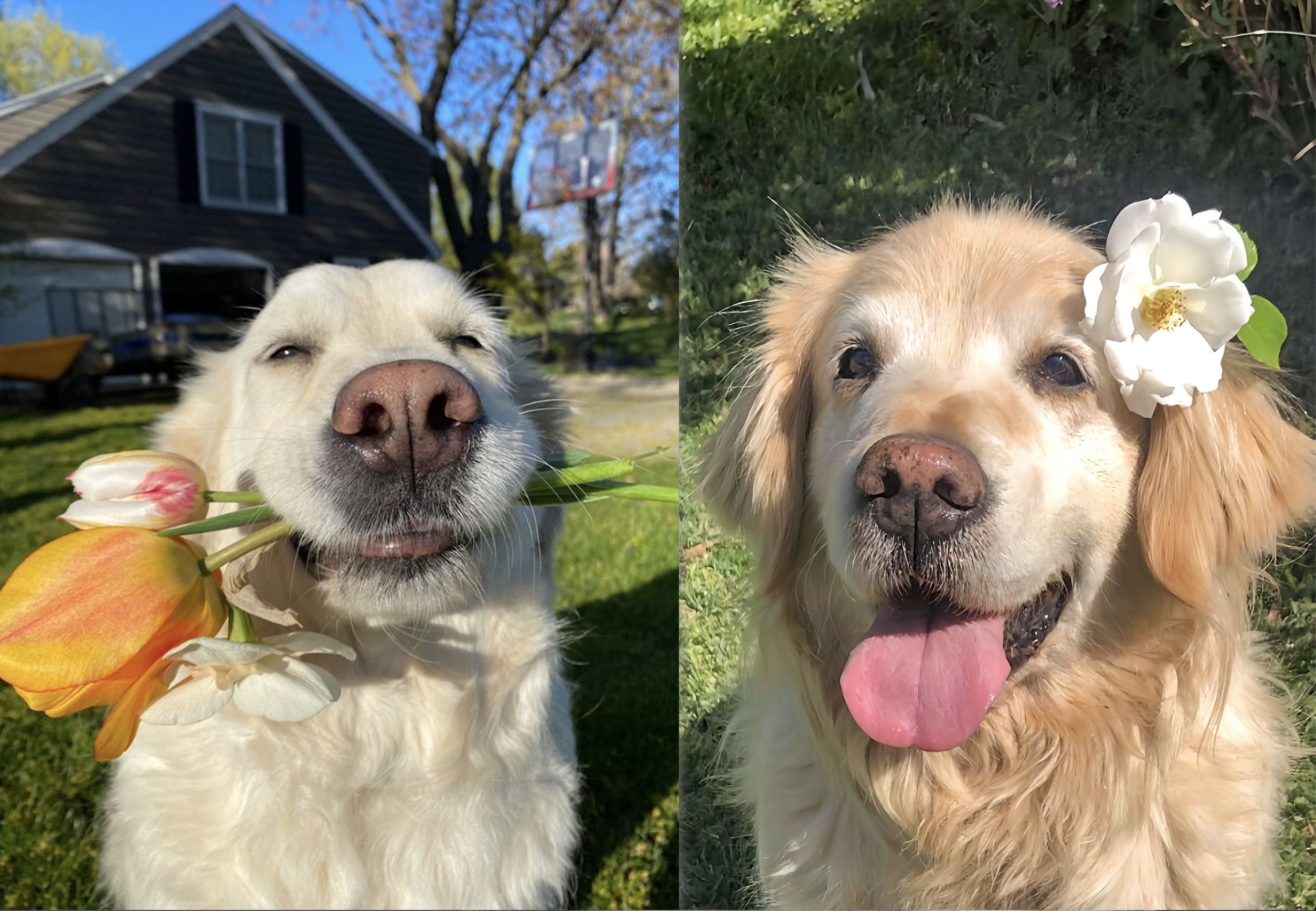 Before: merge